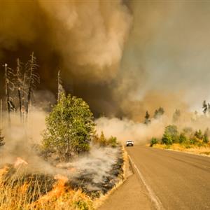 AL VIA LA DIGITALIZZAZIONE DELLE TORRETTE DI RILEVAMENTO INCENDI DELLA REGIONE SICILIANA